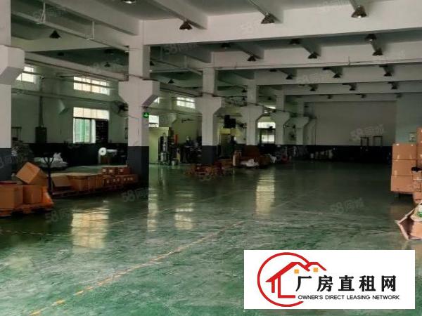  清溪三中工业区一二楼总3600平带精装修办公室超大空地可分租