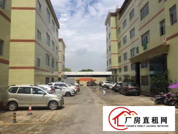  清溪谢坑实业客分租楼上一整层1100平厂房，现成精装修