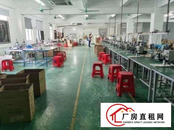  清溪谢坑实业客分租楼上一整层1100平厂房，现成精装修