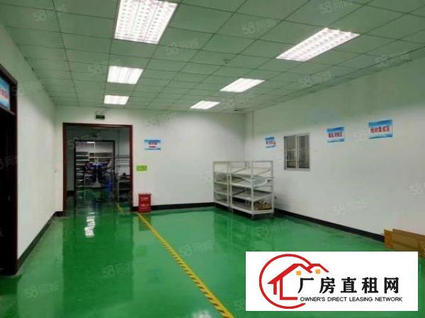  清溪谢坑实业客分租楼上一整层1100平厂房，现成精装修