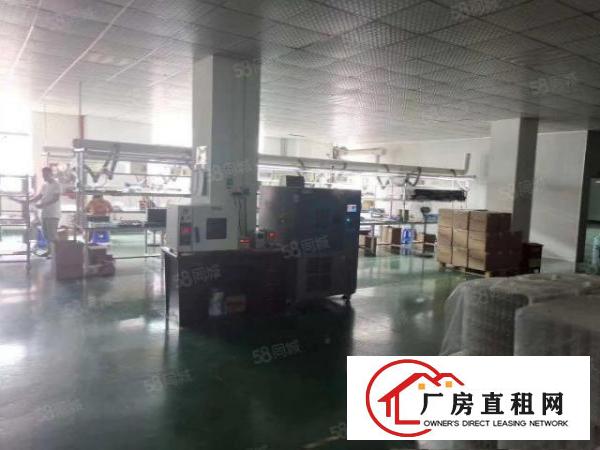  清溪天生湖工业园2万平厂房出租精装修一楼仓房300平起分租