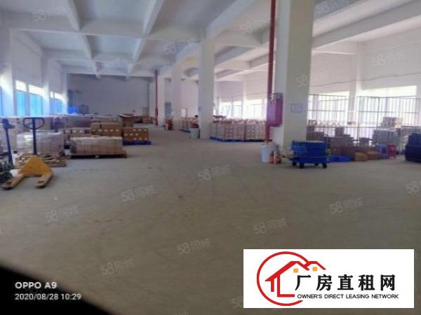  渔梁围6米高标准一楼一整层1500平招租，形象佳，适合模具