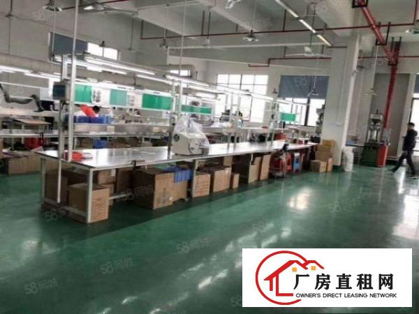  劲爆消息清溪新出楼上688平方带装修厂房原房东无公摊急租