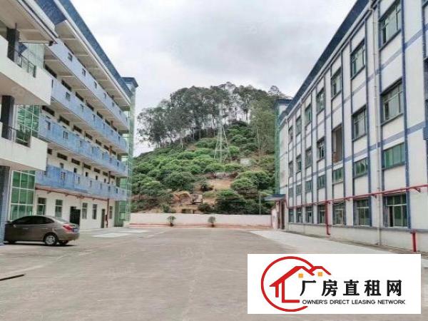  清溪三中村新出独院厂房3层7500平米出租可分租