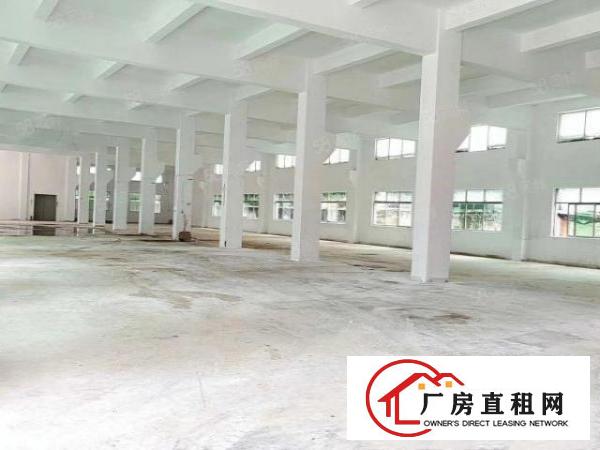  清溪三中村新出独院厂房3层7500平米出租可分租