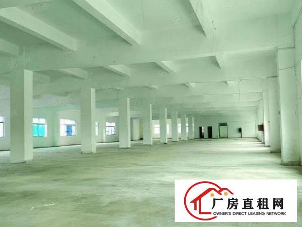  清溪三中村新出独院厂房3层7500平米出租可分租