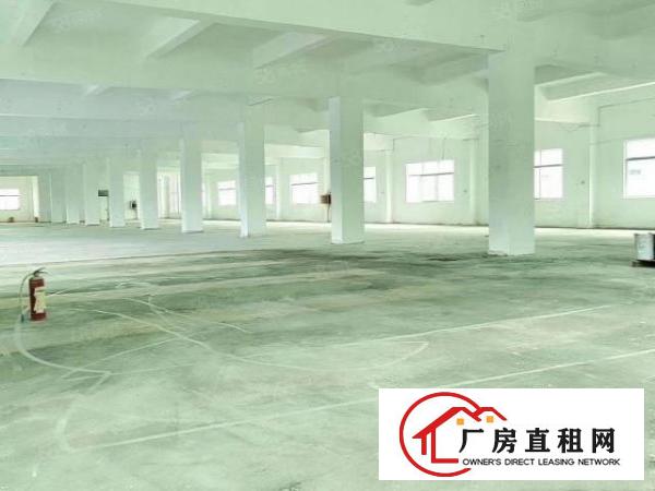  清溪三中村新出独院厂房3层7500平米出租可分租