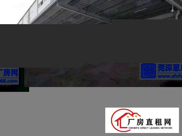  清溪镇新出国有证三证齐全标准物流仓库出租