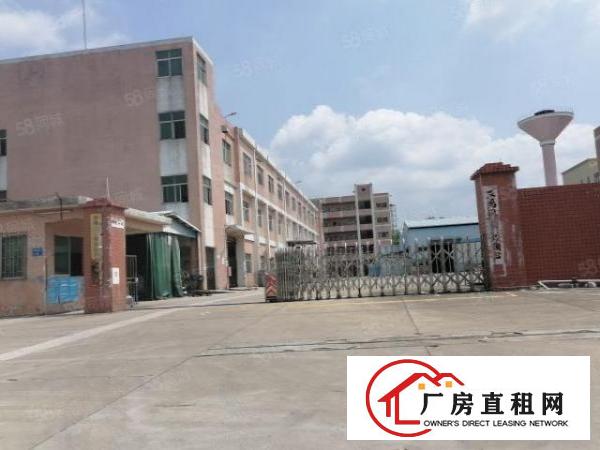  清溪青湖一楼白菜价厂房650平现成行车免费使用高度7米
