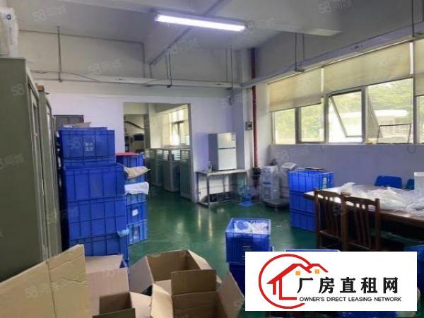  清溪镇标准厂房一楼2000平方出租，层高7米
