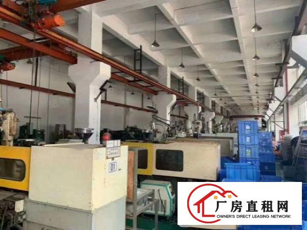  清溪镇标准厂房一楼2000平方出租，层高7米