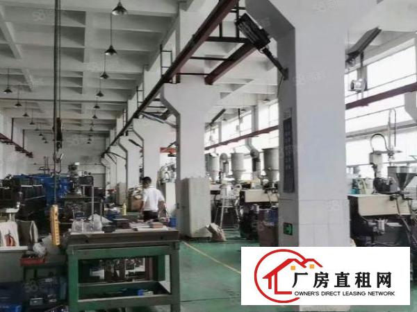  清溪镇标准厂房一楼2000平方出租，层高7米