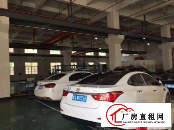  原房东无公摊清溪新出一楼1400平方带自行车厂房急租