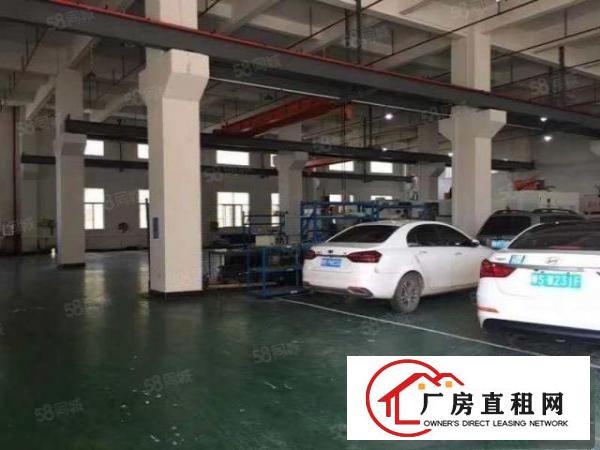  原房东无公摊清溪新出一楼1400平方带自行车厂房急租