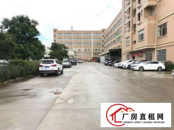  清溪镇大利村新出精装修现成行车一楼680平方低价厂房出租