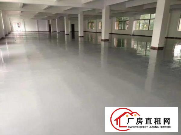  整层厂房1000平米出租，因业务扩展场地不够用，
