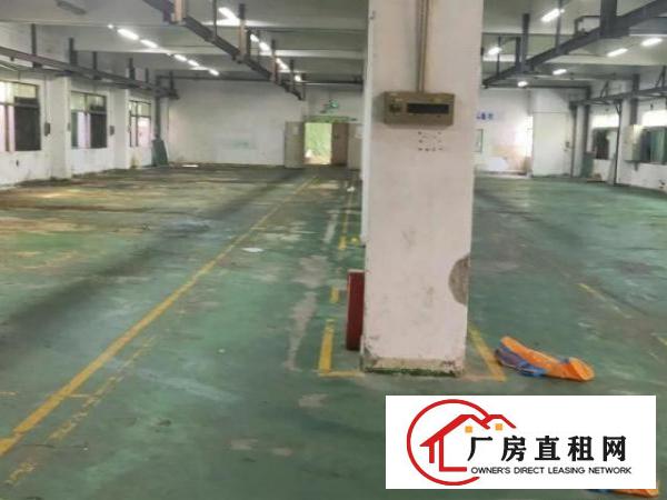  樟木头花园式独门独院厂房