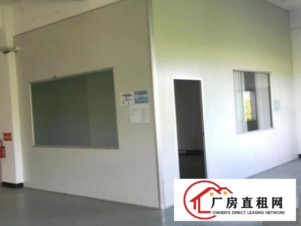  樟木头花园式独门独院厂房
