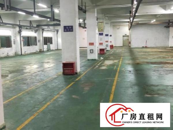  樟木头花园式独门独院厂房