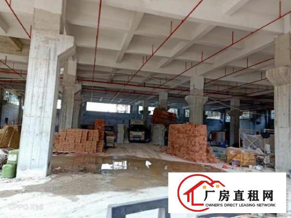  樟木头镇裕丰管理区主路边全新标准独院厂房16000平方出租