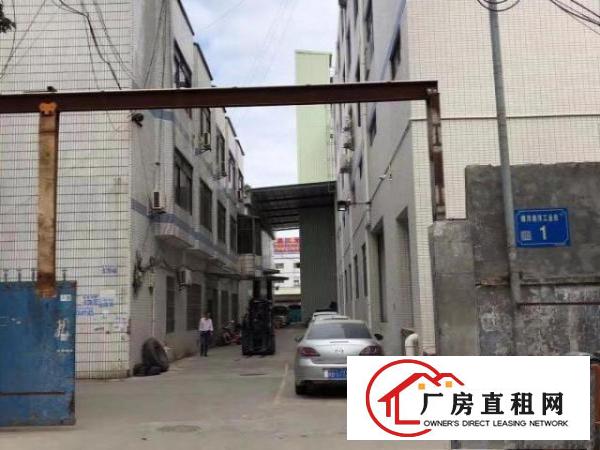  樟木头镇樟深大路边上带装修电水现成厂房500平方，即可以生产