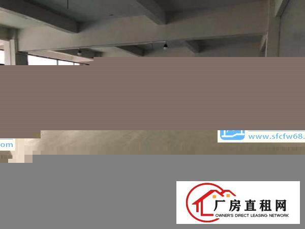  樟木头镇樟深大路边上带装修电水现成厂房500平方，即可以生产