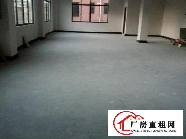  全新带装修，无管理费，电费便宜