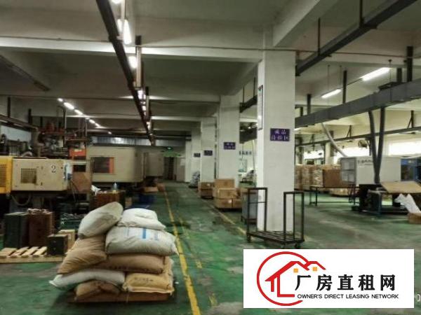  樟木头花园式独院厂房