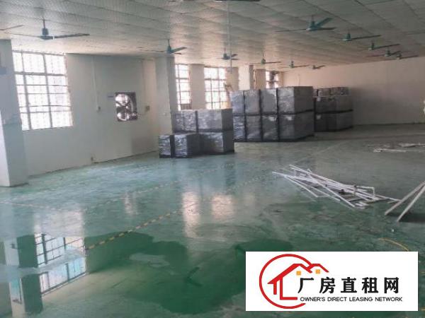  出租樟木头工业厂房，设施齐全