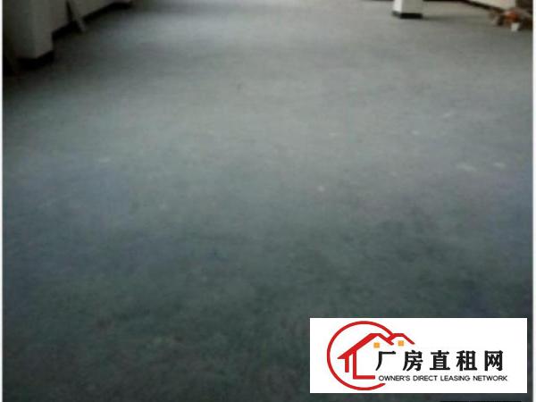  全新5房，无管理费，电费便宜