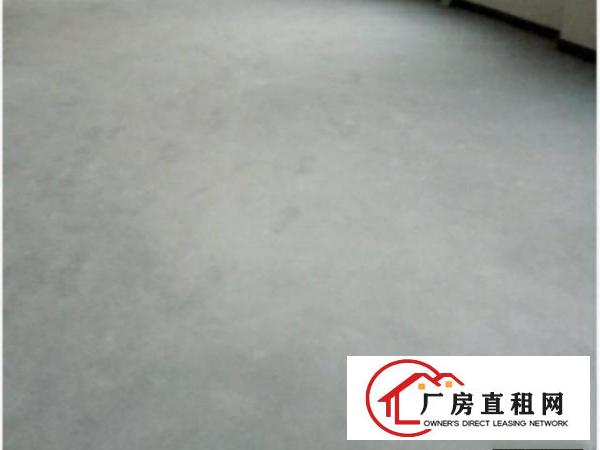  全新5房，无管理费，电费便宜