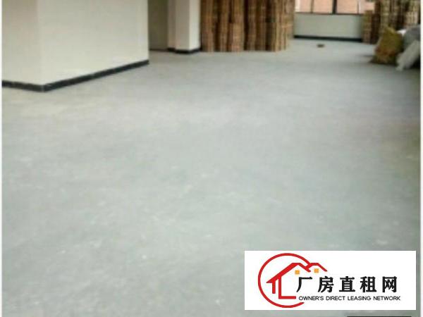  全新5房，无管理费，电费便宜