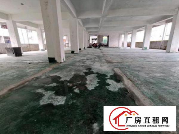  厂房1—5楼招租每层550平，13元/平，带全新电梯，可分租