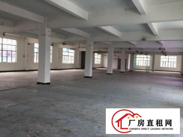 出租樟木头镇东城广场