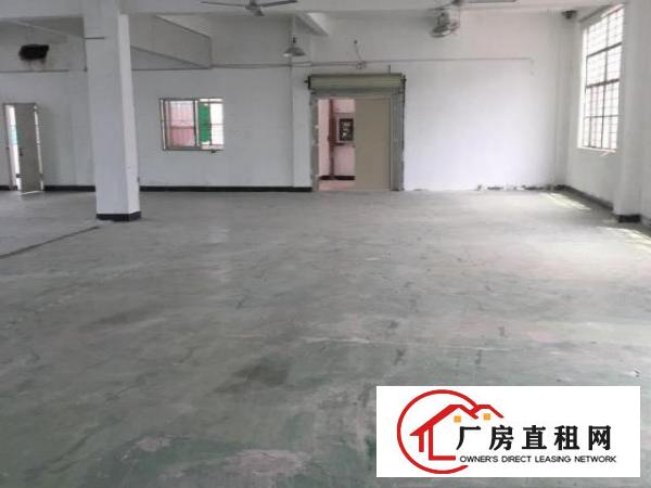  出租樟木头镇东城广场