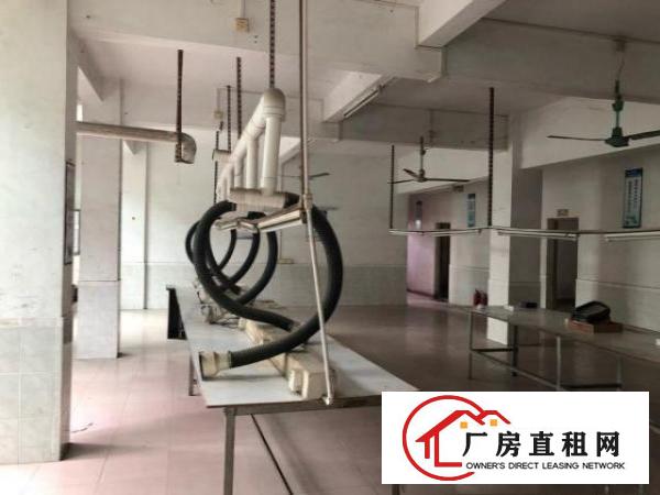 樟木头厂房出租小型厂房仓库出租250平米