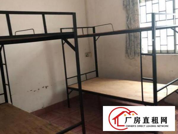  樟木头厂房出租小型厂房仓库出租250平米