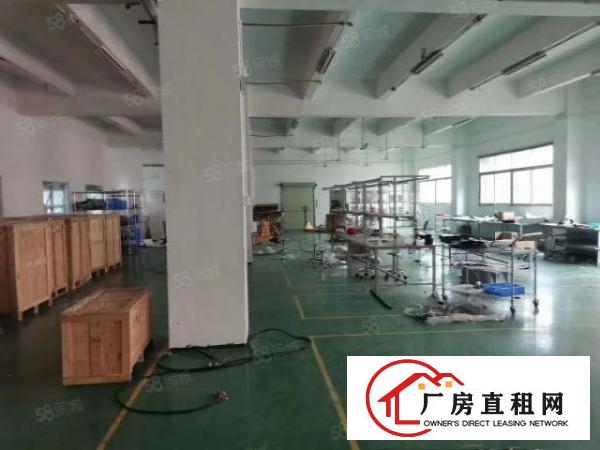  樟木头独院厂房分租标准一楼楼上带现成装修1000平方工业用地