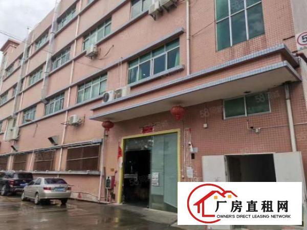  樟木头独院厂房分租标准一楼楼上带现成装修1000平方工业用地