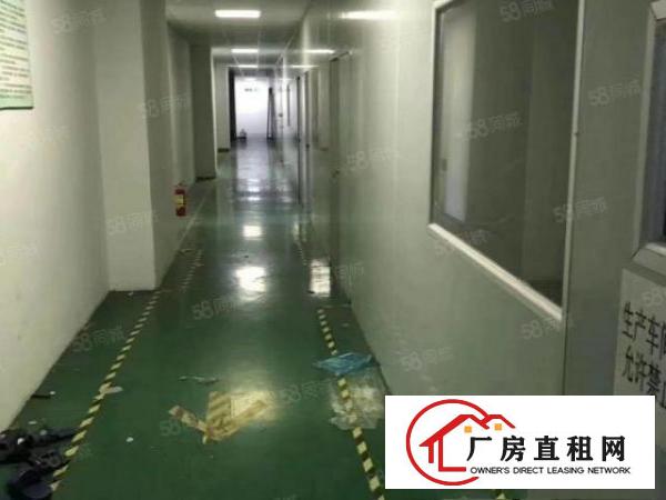  黄江镇中心新出楼上带无尘车间整层厂房1350平米