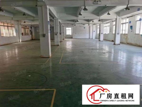 樟木头新出独门独院4500平方厂房出租