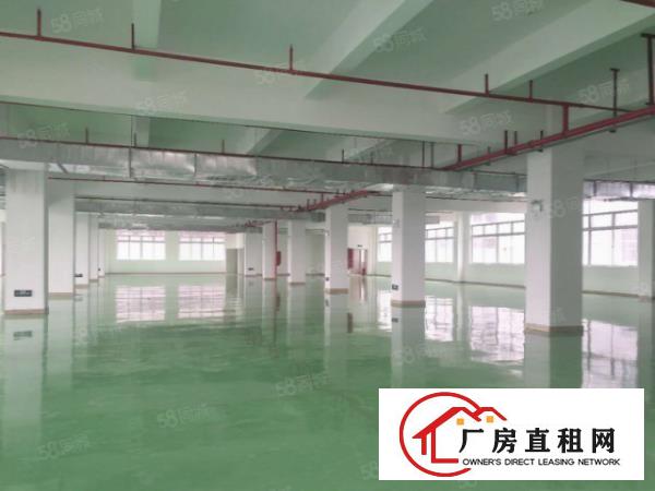  信鸿常平智谷红本物业3000平起租无行业限制货车可调头非中介