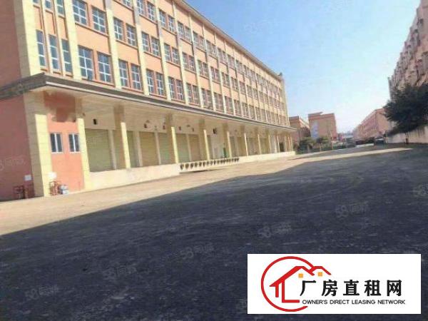  信鸿常平智谷红本物业3000平起租无行业限制货车可调头非中介