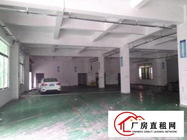  樟木头樟洋标准一楼900平方出租