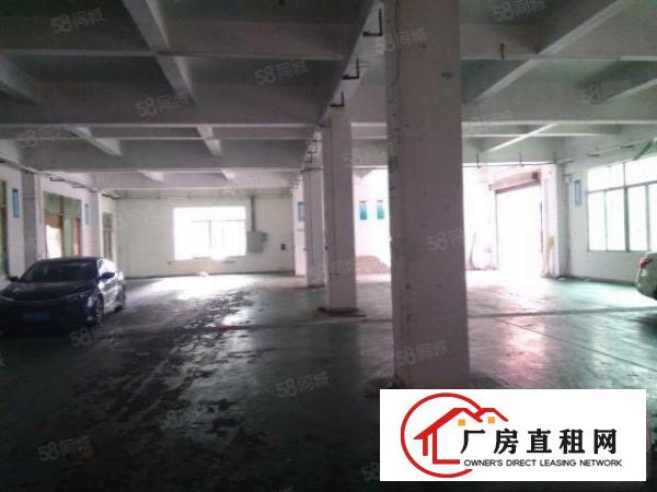  樟木头樟洋标准一楼900平方出租