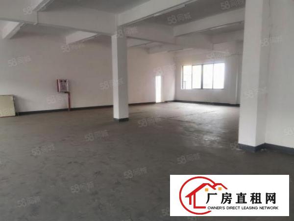  万江产业园标准厂房|单一层1105平|多隔间办公室|特价直租