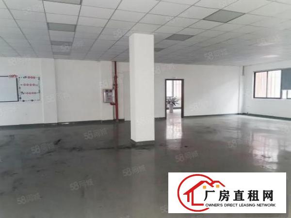  万江产业园标准厂房|单一层1105平|多隔间办公室|特价直租
