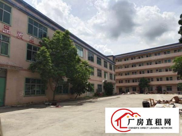  樟洋二楼带精装修1000平方出租