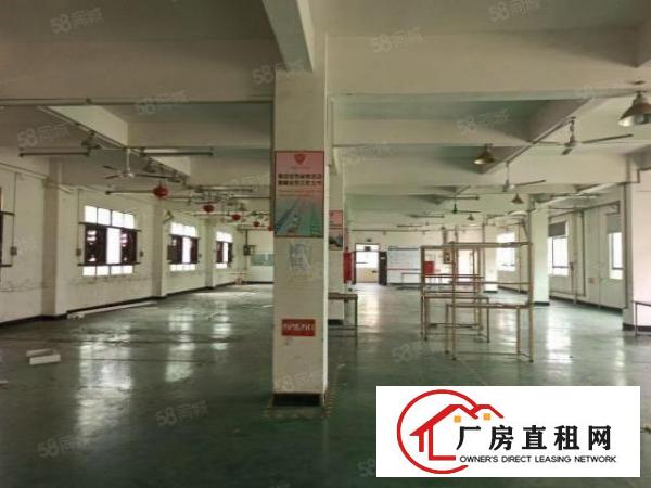  樟木头新出独院四层半3200平方厂房