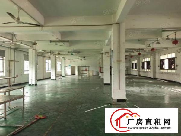  樟木头新出独院四层半3200平方厂房